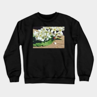 ladybug leaf Crewneck Sweatshirt